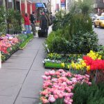 NY flowers