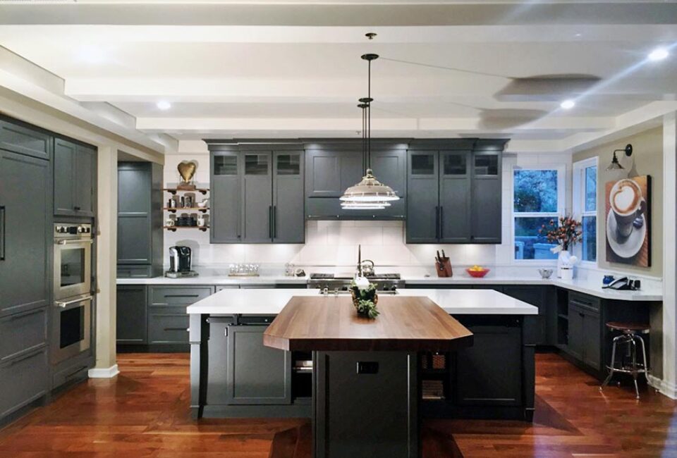 Logo for Carol Borowski Logo for Carol Borowski