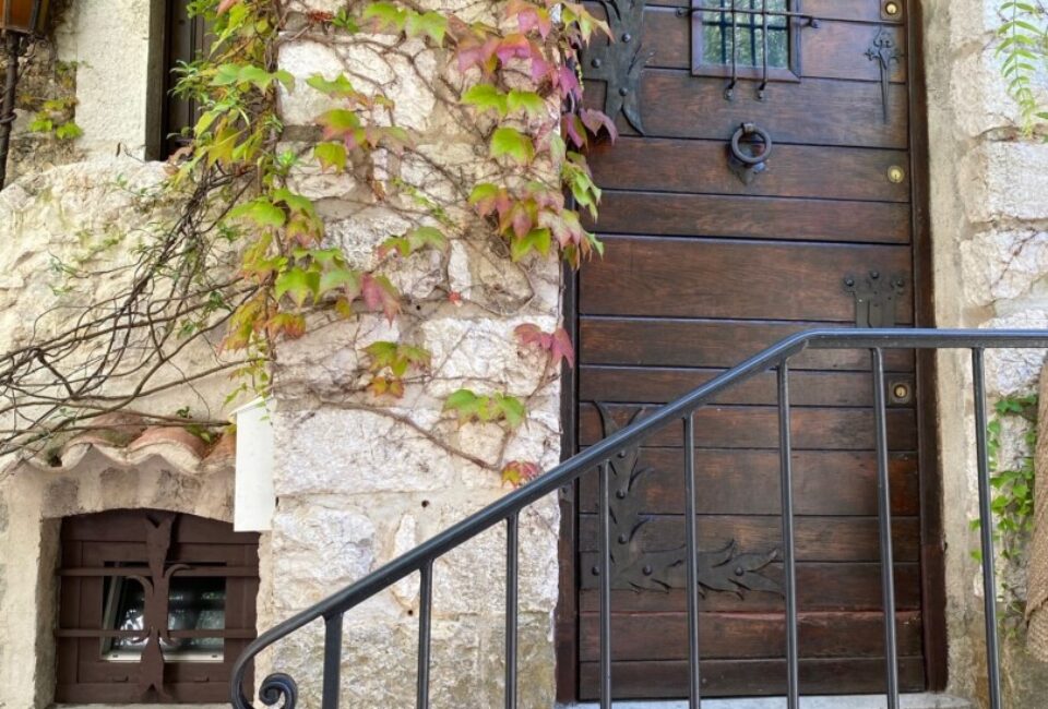 Logo for Shana Collett Logo for Shana Collett